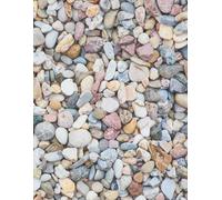 Hidden in the Wild - Mystery Nature Sketchbook: 8.5 x 11 Inch Dot Grid Notebook with 200 Pages for Drawing, Journaling & Seek-and-Find Creative Adventures