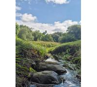 Hidden Stream - Sketchbook for Artists (Hardcover, 8.25 × 11 in, 100 Pages): A creative companion from BROH Line Studio’s Scenic Art Edition
