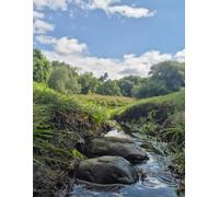 Hidden Stream - Sketchbook for Artists (Paperback, 8.5 × 11 in, 100 Pages): A creative companion from BROH Line Studio’s Scenic Art Edition
