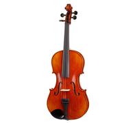 Hidersine "Hidersine Piacenza Viola Set 16"""