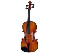 Hidersine Hidersine Venezia Finetune Viol. Set 3/4