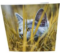 Hiding Cat Carte d'anniversaire vierge
