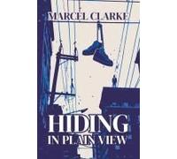 Hiding In Plain View