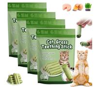 HIDRUO Berdexa Cat Grass Teething Stick, Cat Teeth Cleaning Cat Grass Stick,Chew Sticks for Cats for Increase Appetite and Hairball Removal,Cat Teething Toy, for Indoor Cats (4 bag/24 Sticks)