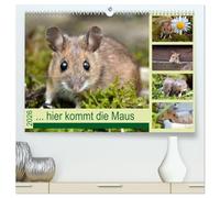 ... hier kommt die Maus ... (hochwertiger Premium Wandkalender 2026 DIN A2 quer), Kunstdruck in Hochglanz: Zauberhafte Bilder einer kleinen Maus
