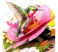 Hierein Carte Pop Up, 3D Colibri et Hibiscus Carte Anniversaire Femme