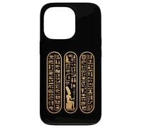 Hiéroglyphes Égyptiens I Archéologie des Dieux Égyptiens Coque pour iPhone 13 Pro