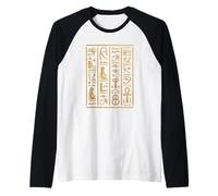 Hiéroglyphes Égyptiens I Archéologie des Dieux Égyptiens Manche Raglan