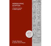 Hieroglyphic Egyptian: A Practical Grammar of Middle Egyptian