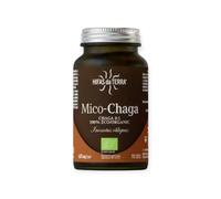 Hifas Da Terra Mico-Chaga 70 gélules