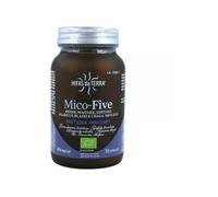 Hifas Da Terra Mico-Five 70 gélules