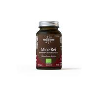 Hifas da Terra Mico-Rei Bio 70 gélules