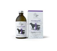 Hifas Vet Immune Pet Complément alimentaire pour chiens et chats - Complément alimentaire pour renforcer le système immunitaire - 250 ml