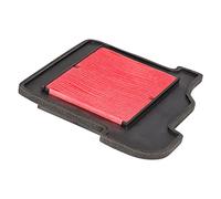 Hiflofiltro Büse HFA4921 Filtre à air