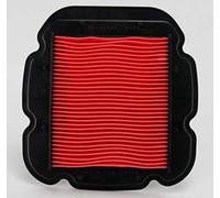 Hiflofiltro Hfa3614 Premium OE de Remplacement Filtre à air