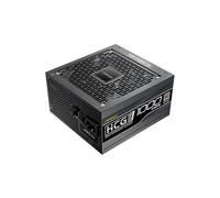 High Current Gamer HCG1000 PRO - Alimentation électrique (interne) - ATX12V 3.1 - 80 PLUS Platinum - CA 100-240 V - 1000 Watt - PFC active - Europe