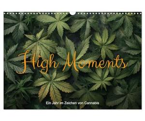 High Moments Calendrier mural 2026 format A3 paysage - Une année au signe du canna alendrier mensuel CALVENDO