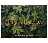 High Moments Calendrier mural 2026 format A3 paysage - Une année au signe du canna alendrier mensuel CALVENDO