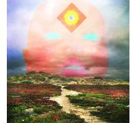 High Places/ 03/07-09/07 [Import]