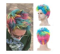 High-Quality Men's Wig, Fluffy Short Straight Perruques for hommes Cheveux synthétiques naturels Perruque for hommes Fibre haute température Perruques colorées Homme Retro Rock Party Cosplay Perruque