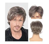 High-Quality Men's Wig, Hommes Perruques Cheveux Synthétiques Court Mixte Argent Gris Perruque Vague Droite avec Frange for Homme Moelleux Résistant À La Chaleur Naturel Halloween Cosplay Perruque De
