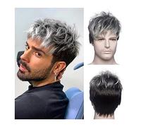 High-Quality Men's Wig, Perruques courtes for hommes perruque droite moelleuse naturelle avec des racines foncées gris mélangé perruque synthétique noire avec une frange for le costume de cosplay quot