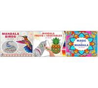 High Quality Premium Paper Mandala Creative Birds + Fruits & Vegetables + Magic Art Designs Pattern Colouring Books For Kids | Artistic Birds | Healthy Foods | Magical Mandalas | Creative Designs | Re