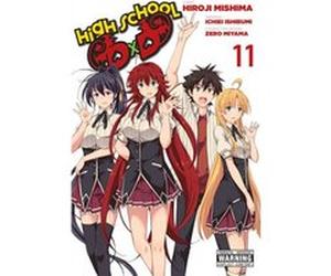 High School DxD Vol. 11 by Ichiei Ishibumi Inconnu (Auteur)