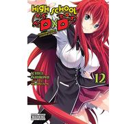 High School Dxd, Vol. 12 (Light Novel)