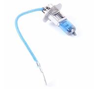 High-Tech Place Lampe Frontale halogène 2 PCS H3 12V 100W 2400 LM 5000K lumière Blanche Chaude