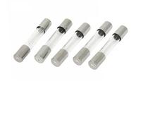 High Voltage Glass Fuse 5kV 0. pour 8a 6x40mm for Microwave High