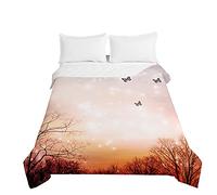 Highdi Bedding Couette 220 x 240 cm, Papillon Coloré Été Douce Microfibre Couette, Couette Imprimée 220x240 Poids Léger Couette Enfant, pour Couette 2 Personnes (220x240cm,Dégradé Orange)