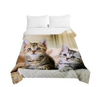 Highdi Couvre Lit Matelassé, Microfibre Dessus de Lit, Chaton Couvre-lit Poids Léger Couverture Lit, pour Couvre Lit 1 Personne Couverture Lit 2 Personnes (150x200cm,Deux Beaux Shorts)