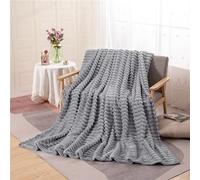 Highdi Plaid en Flanelle Polaire, Jeté de Canapé Douillette Confortable pour 2 Personnes, Couverture d'Hiver Chaude et Douce pour Animaux (70x100CM, Gris Clair)