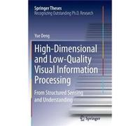 HighDimensional and LowQuality Visual Information Processing - Yue Deng - Springer Nature B.V. - Livre en Anglais - Paperback Yue DengYue Deng (Auteur)