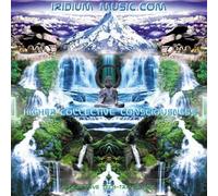 Higher Collective Consciousness