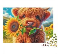 Highland Cattle Difficile 1000 pièces Puzzle soirée Jeu Familial, Veau des Highlands Tenant Un Tournesol dans la Bouche, épais Robuste Haute qualité Vibrant Difficile Anti-Stress 38x26cm/1000pcs