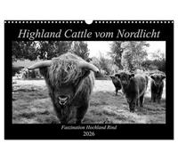 Highland Cattle vom Nordlicht - La fascination du bœuf des hautes terres, Version française (Calendrier mural 2026 DIN A3 portrait), Calendrier CALVENDO mensuel
