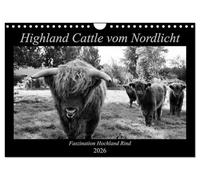 Highland Cattle vom Nordlicht - La fascination du bœuf des hautes terres, Version française (Calendrier mural 2026 DIN A4 portrait), Calendrier CALVENDO mensuel