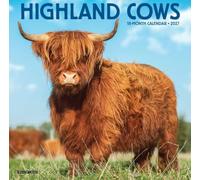 Highland Cows 2027 Mini