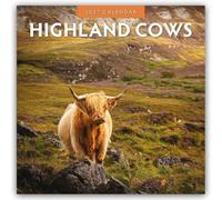 Highland Cows 2027 Square Wall Calendar