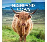 Highland Vaches - Calendrier mural carré 2025 - par Red Robin Publishing