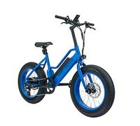 Highphoria Vélo Electrique Enfants 20 Pouces, Electric Bike 7 Vitesses, Moteur Puissant 48V 250W 80Nm, Fourche à Suspension Hydraulique, Autonomie 100 km 25 km/h (Bleu-Bleu)