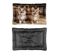 Hightopup Lit pour chien et chat souriant - Lit pour chien et chat - Fond antidérapant - Confortable - Imperméable - Plusieurs scénarios - Grand meuble - Cadeau imprimé pour chiens - 90 x 60 cm