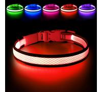HiGuard Collier pour Chien LED Rechargeable par USB avec Sangle en Nylon Idéal pour Les Chiens de Petite Taille Moyenne et Grande Taille