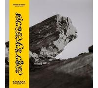 Hihats in Trees - Artefacts