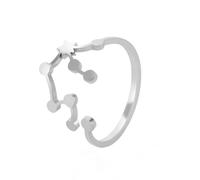 HIJONES 12 Signes Célestes Constellation Bagues Creuses Délicates pour Femmes en Acier Inoxydable Cadeaux Anniversaire Anneaux Ouverts Ajustables Verseau D’Argent