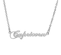 HIJONES Collier des 12 Signes du Zodiaque pour Femmes en Acier Inoxydable Chaîne Horoscope Personnalisée Bijou Délicat avec Charme Argent Capricorne