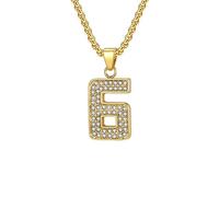 HIJONES Collier Numéro Zircone pour Femme Homme Pendentif Acier Inoxydable Chaîne Bijou Or 6