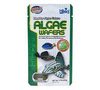 HIKARI - Gaufrettes algues pour Animaux de Compagnie - 0,70 g